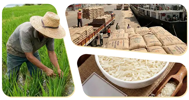 MC-Overseas-Non-Pesticid