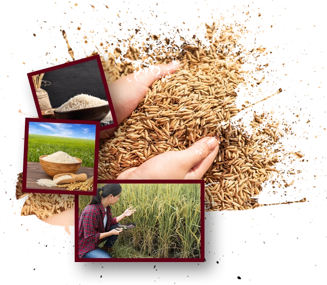 We apply the same sourcing process