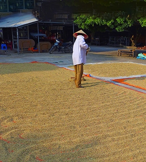 State-of-the-Art Processing