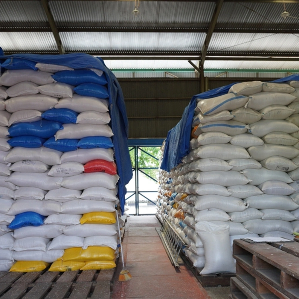 Expert team for packaging design and execution