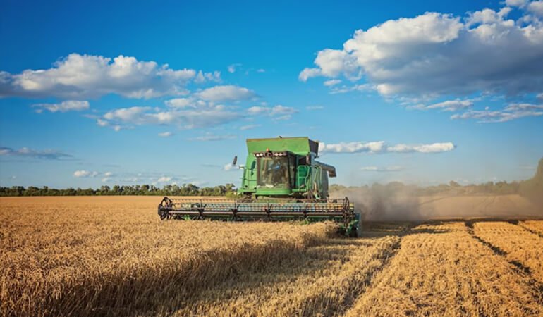 Wheat Harvest Organic Gather Nice Moment
